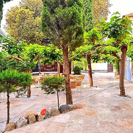 Boutique Comtal Empuries Roses